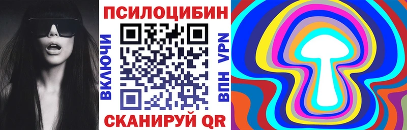 Купить  Арзамас  Псилоцибиновые грибы Psilocybine cubensis 